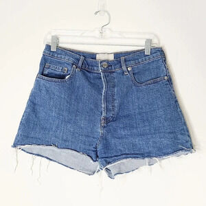 Everlane Blue Jean Shorts